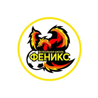 Сеть футбольных школ Феникс