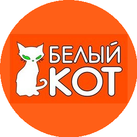 Белый кот
