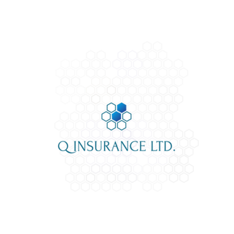 ЧАСТНАЯ КОМПАНИЯ Q INSURANCE LTD.