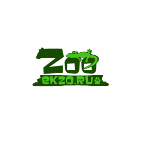 Zoo collection