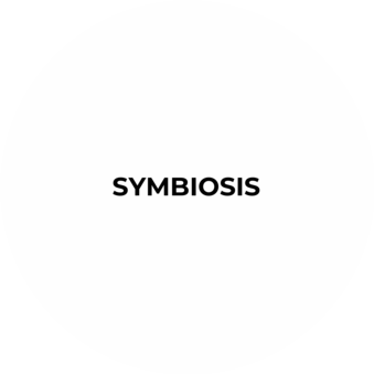 SYMBIOSIS GROUP