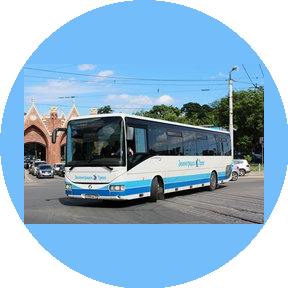 Зеленоградск-Транс