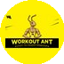    WORKOUT ANT