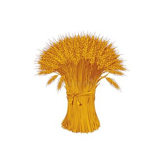 Ленинградское