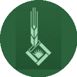 Совхоз им. Кирова