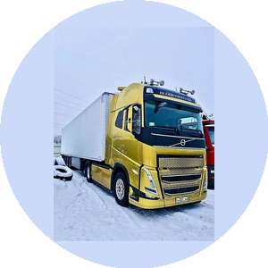 Бинтранс