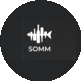   SOMM