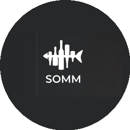 Винная школа SOMM