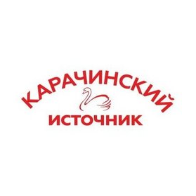 Карачинский источник
