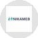 NIKAMEB