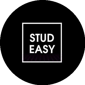 Stud-Easy (ИП Иконников Михаил Станиславович)