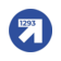 ���� ����� �1293
