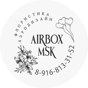 AIRBOX MSK