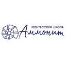 Школа Аммонит