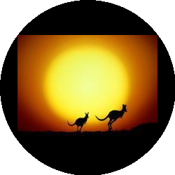 КЕНГУРУ И КО