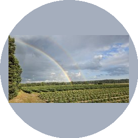 ФХ Арк Эн Съель