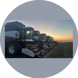 Тимофеевка-Агро