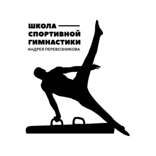 Школа Спортивной Гимнастики Андрея Перевозникова