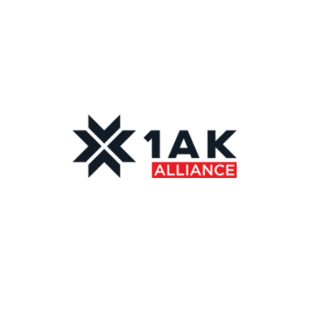 Аккумуляторный Альянс