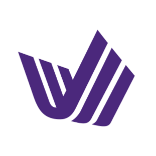 Vidar Group