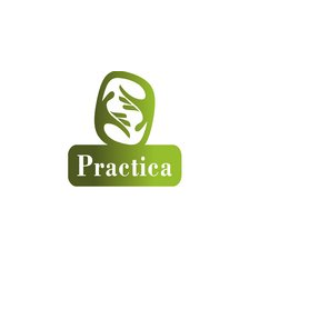 Practica