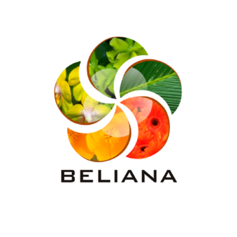 Белиана
