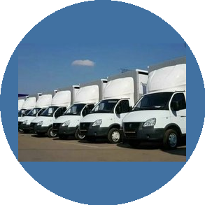 Пузырева Виктория Владимировна