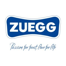 ЦУЕГГ РУССИЯ