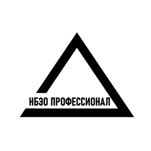 НБЭО Профессионал