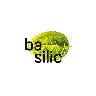 Гордиюк А.М , Basilic ТМ