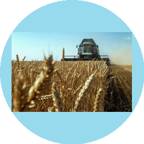 Кх Қыдырәлі