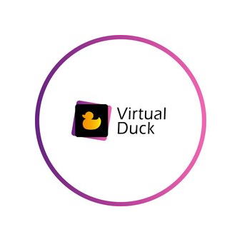 Virtual Duck-Digital Агентство
