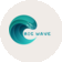 ����� �������� Big Wave school