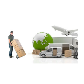 Муравьев Дмитрий Анатольевич