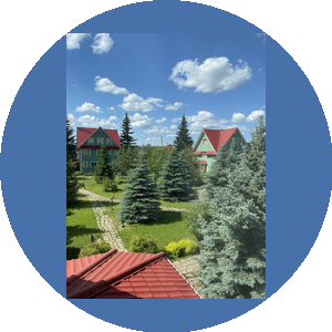 Здрава дача