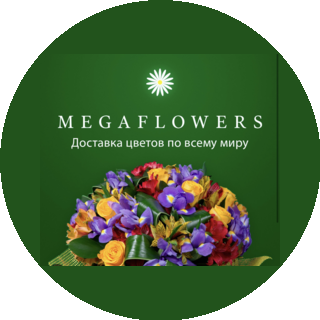 Виневцева Ирина Александровна