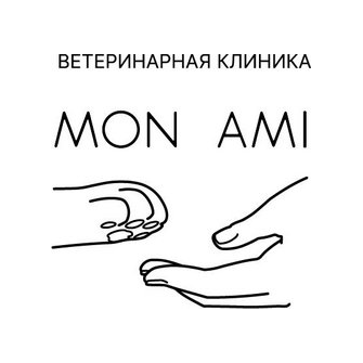 Мон Ами