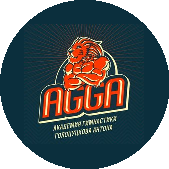 Академия Спортивной Гимнастики АГ