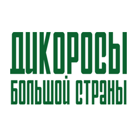 Дикоросы большой страны