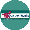 ������������ ������ 911