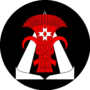 Местная администрация Муниципального образования поселок Шушары