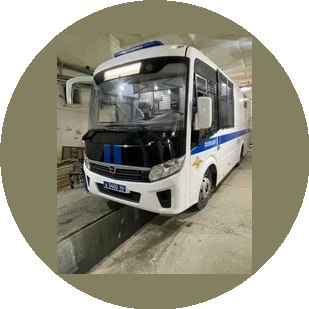 Соловьев Никита Анатольевич