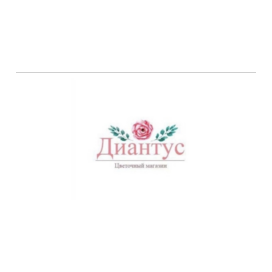 Цветочный магазин Диантус