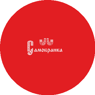 Заборовская Диана Владимировна