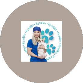 Кузявет, ветеринарные клиники