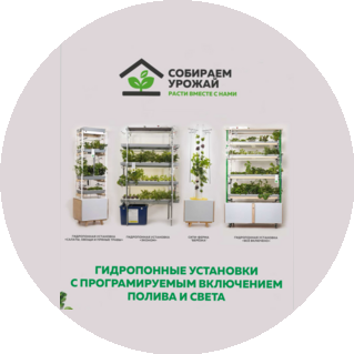 Собираем Урожай