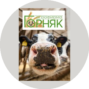 Агрофирма Горняк