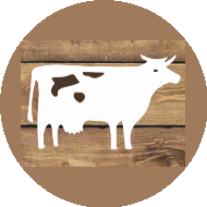 Поставничева Ирина Владимировна