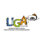 Лига Роботов (ИП Суворов Юрий Александрович)