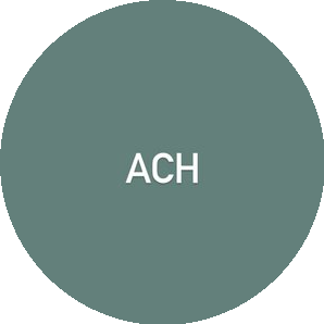 Салон красоты ALEVTINA CHIRKOVA`S